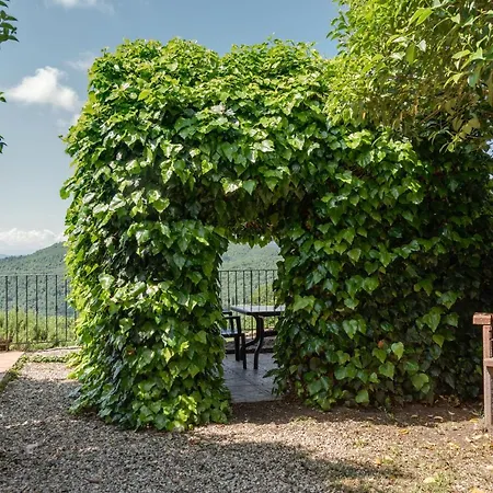 Universal Harmony - Usignolo * Dicomano